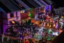 Bush web site rated highest despite fundraising shortfall