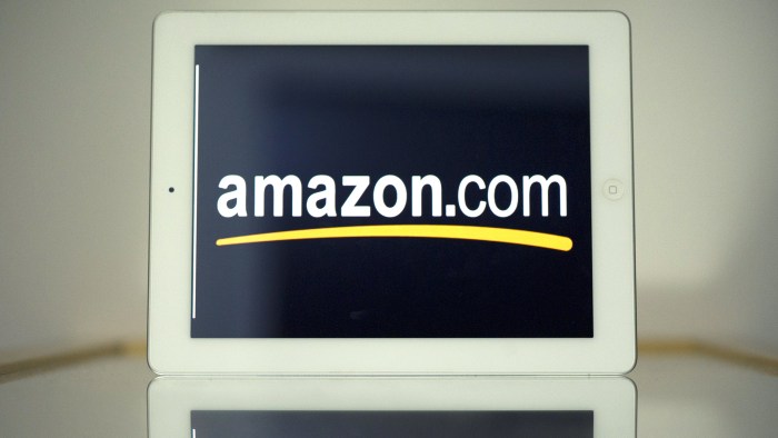 Amazon com buys chunk of talking book digitizer