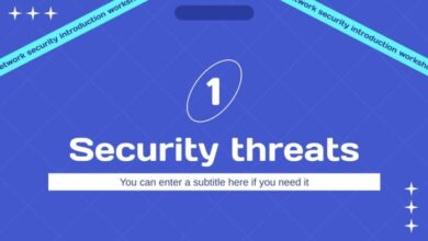 Network associates to launch security seminar tour