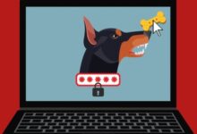 Hacker attacks will bring profits to insurance and security firms