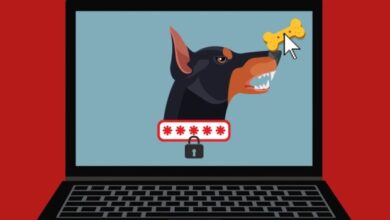 Hacker attacks will bring profits to insurance and security firms