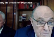 Icann finds friends at congressional hearing
