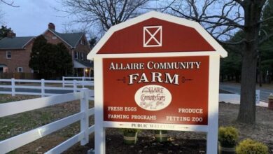 Allaire accelerates e commerce linux strategy