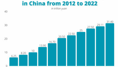 Report wireless b2b e commerce developing in china