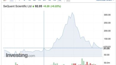 Kmart bypasses brokers to sell its stock online