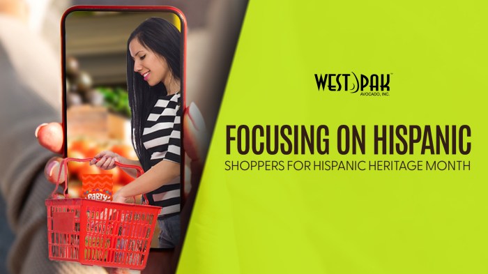U s hispanic e shoppers indifferent to language