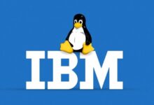 Ibm moves on linux