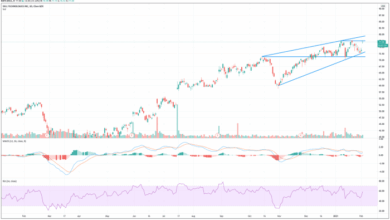 Dell warns of lower earnings