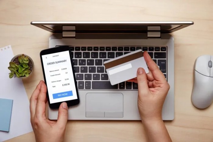 Sun and netscape team to provide bill paying service