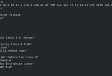 Computer associates ups red hat linux security level