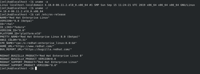 Computer associates ups red hat linux security level