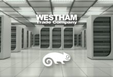 Compaq and suse push linux e commerce solutions