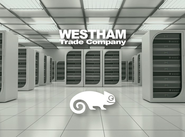 Compaq and suse push linux e commerce solutions