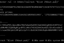 Crackers cripple rsa server twice