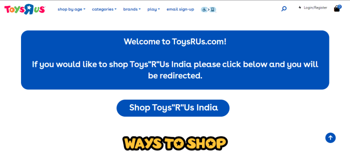 Can toysrus com overtake etoys