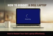 Dell joins internet fray