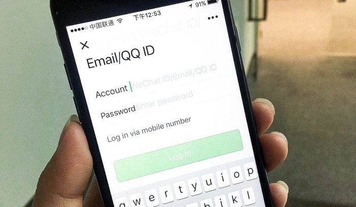 China puts happy face on new net rules