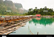 Vacationspot offers bamboo to travelers