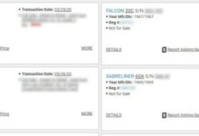 Jet sold in record online transaction