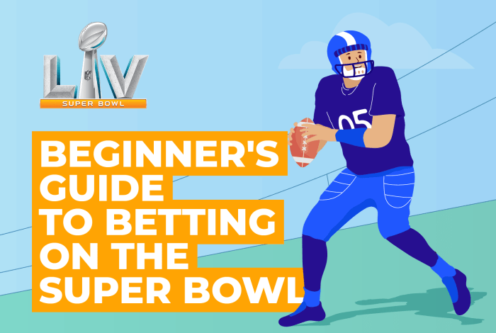 Dot coms betting big bucks on super bowl sunday