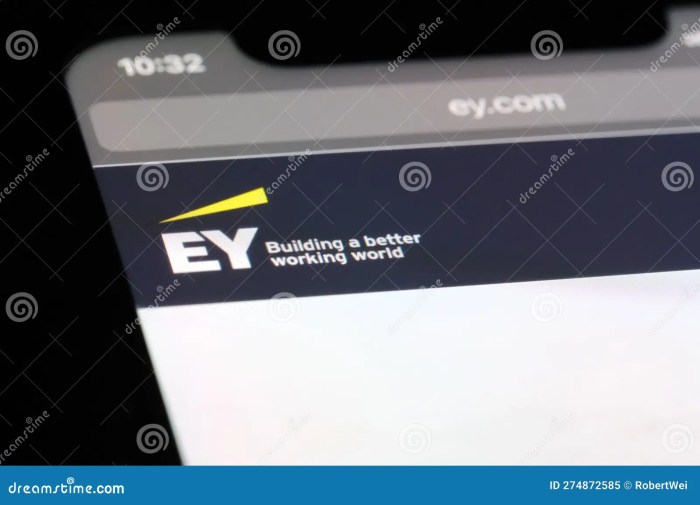 Ernst young internet taxation can wait