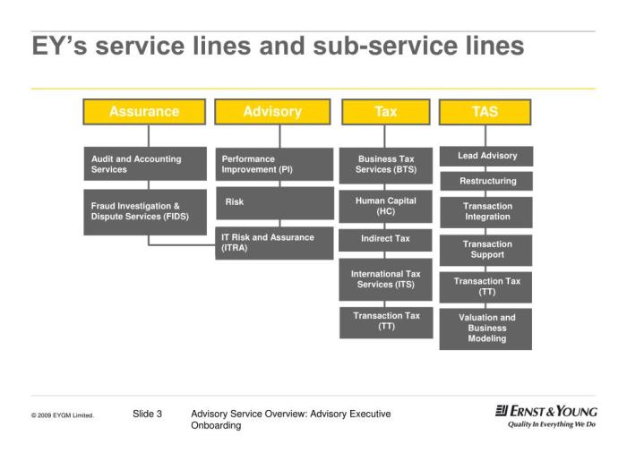 Ernst young internet taxation can wait