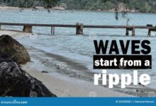 Etoys investigation has far reaching implications