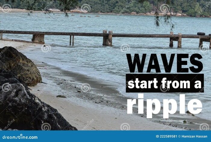 Etoys investigation has far reaching implications