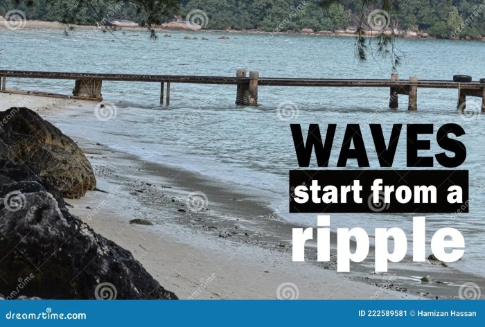 Etoys investigation has far reaching implications