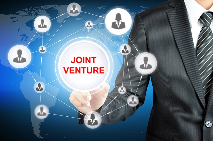Verticalnet launches joint european b2b venture