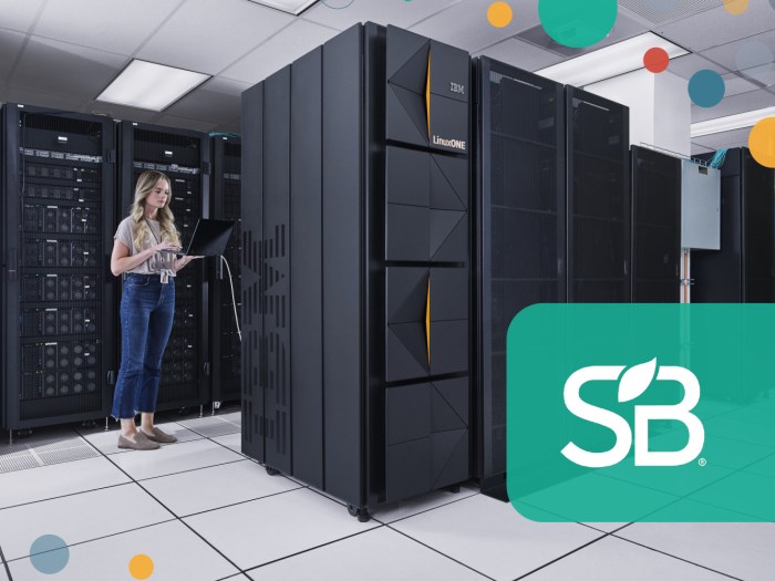 Caldera linux eserver to feature ibm e commerce products