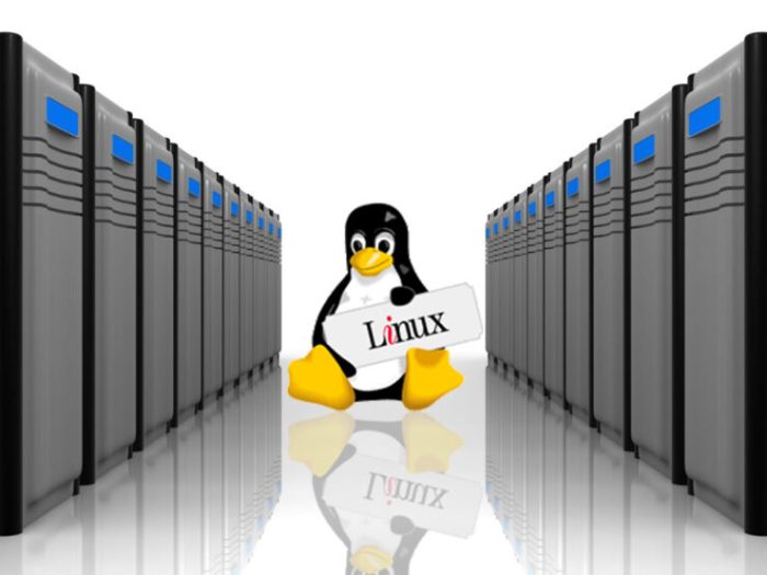 Macmillan usa secures linux web servers