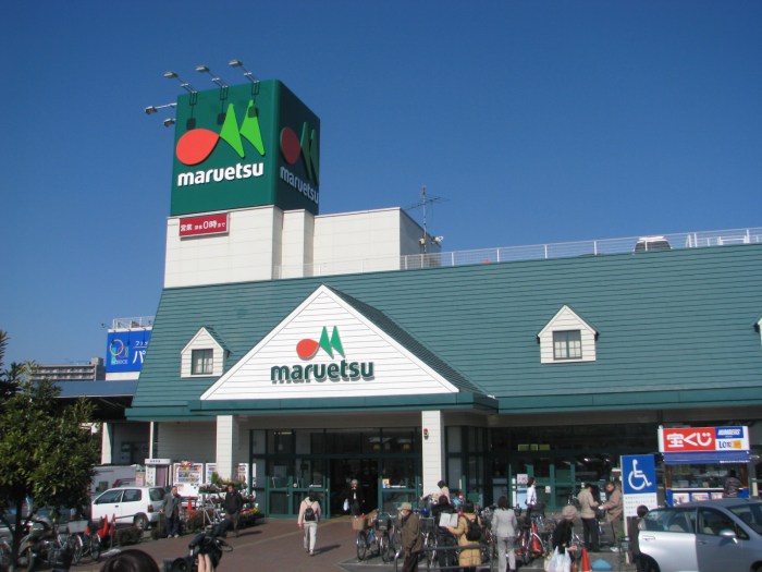 Web supermarket launches in japan