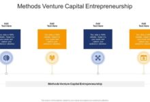 Stunt or strategy company seeks venture capital on ebay