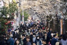 Report japan net users too lax on security