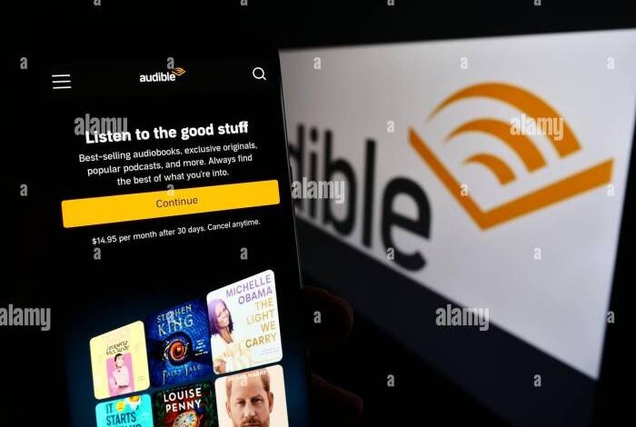 Amazon com buys chunk of talking book digitizer