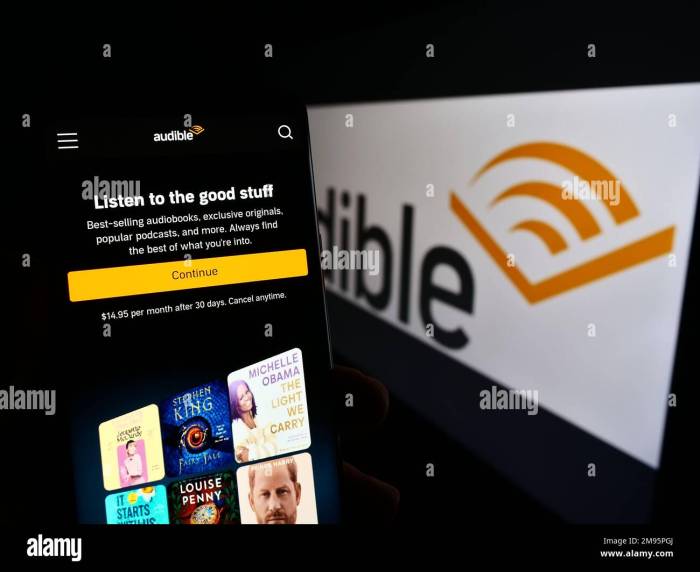 Amazon com buys chunk of talking book digitizer