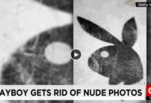 Playboy fights for you