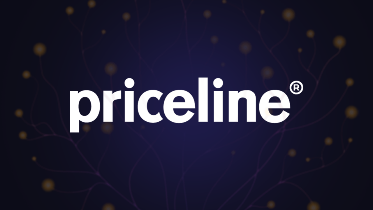Priceline com flies high