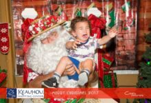 Are dot com wunderkinder behind holiday failures