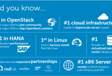 Dell bolsters linux invests in red hat