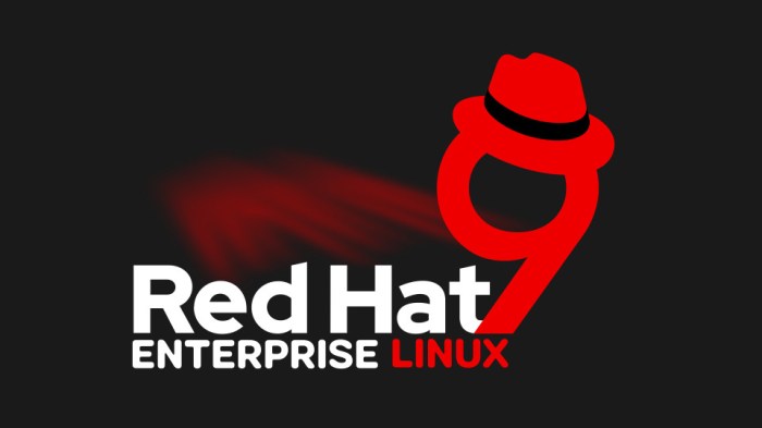 Computer associates ups red hat linux security level