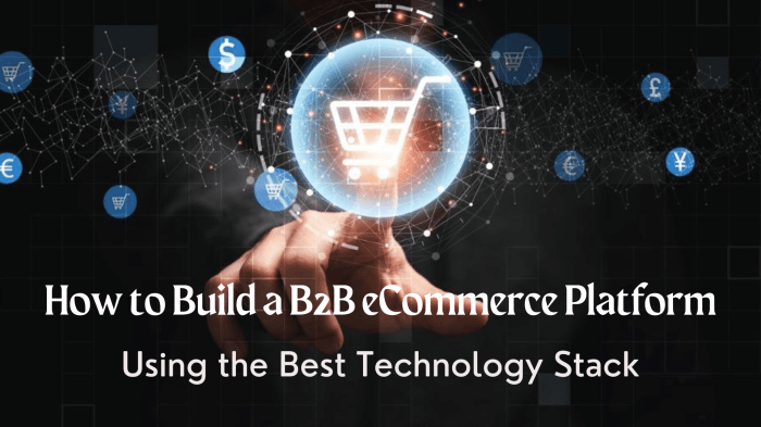 Interface pushes linux based b2b e commerce