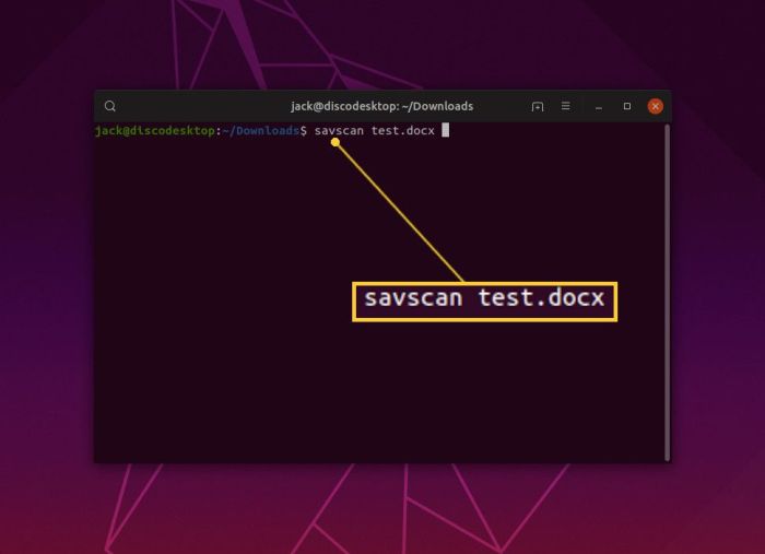Linux developers gain more antivirus options