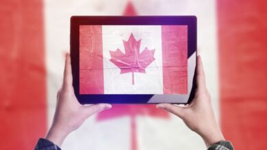 Canadian concerns canvass for cybercourt