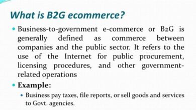 Is grocery shopping a key to b2c e commerce