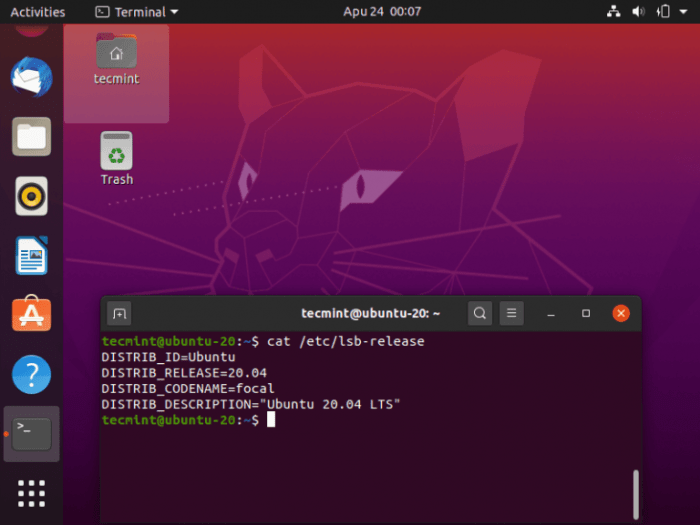 Debian linux project goes commercial
