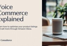 Giving e commerce a voice