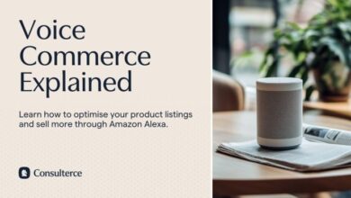 Giving e commerce a voice