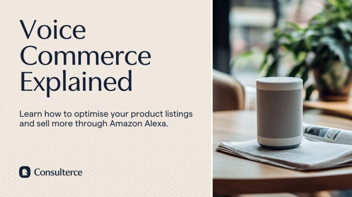 Giving e commerce a voice